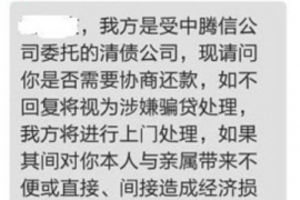 古塔为什么选择专业追讨公司来处理您的债务纠纷？